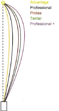 Drakes Pride Bias