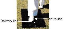 Stance - Step 1